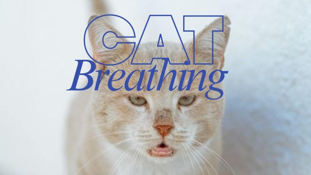 Heavy Breathing Cat